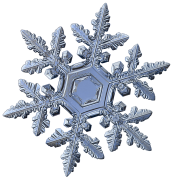 snowflake 35 lis